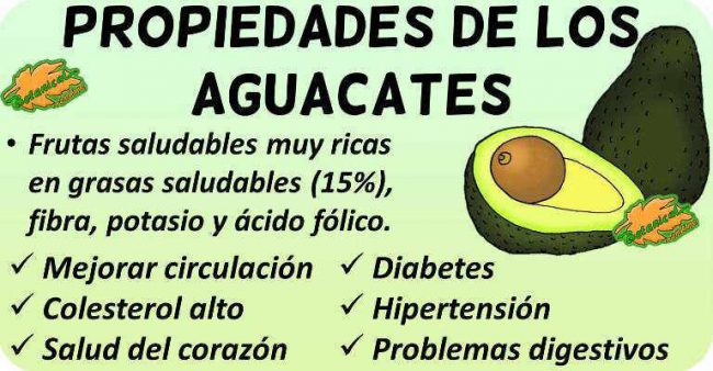 propiedades de los aguacates y sus beneficios