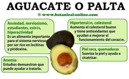 Propiedades del aguacate