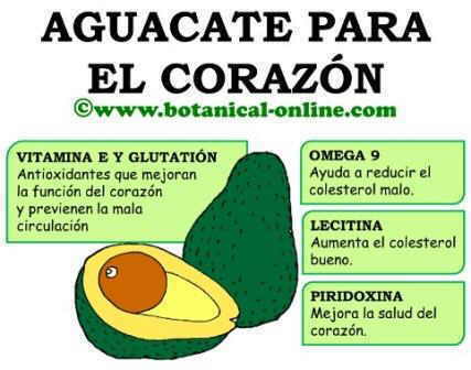 Aguacate corazon, omega 9, piridoxina, vitamina e, colesterol, glutation