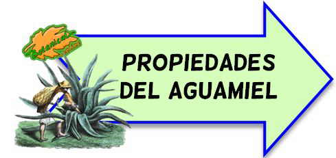 aguamiel propiedades