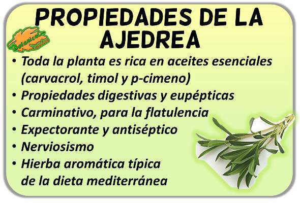 propiedades de la planta medicinal ajedrea beneficios satureja hortensis montana