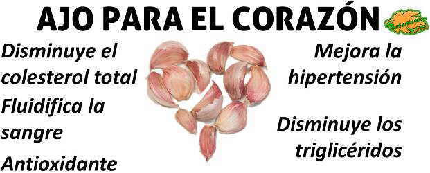 beneficios del ajo para la hipertension colesterol y corazon