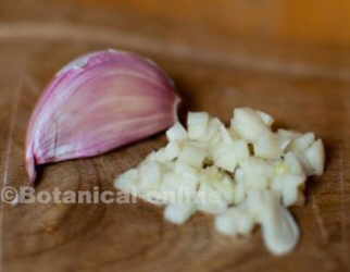 dientes de ajo primer plano