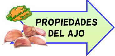 propiedades medicinales del ajo