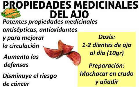 propiedades medicinales del ajo, beneficios