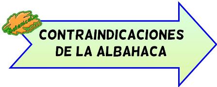 contraindicaciones de la albahaca