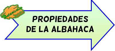 propiedades albahaca