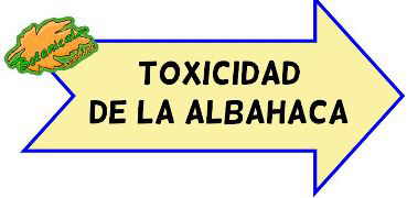 toxicidad albahaca