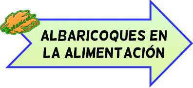 albaricoques alimentacion