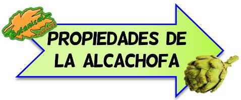 ir a propiedades de la alcachofa 