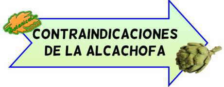 contraindicaciones de la alcachofa