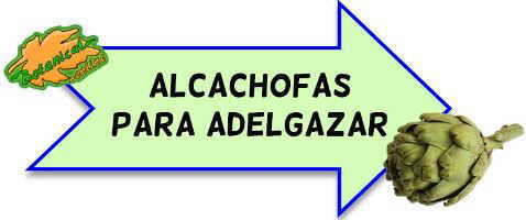 alcachofas para adelgazar