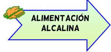 alimentacion alcalina