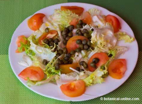 Salad with capers