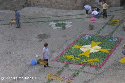 alfombra3