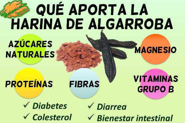 beneficios harina algarroba composicion