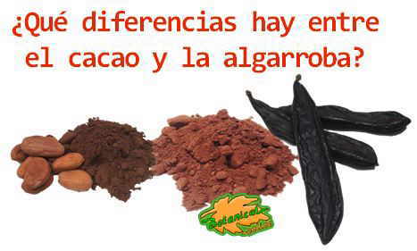 diferencias cacao algarroba chocolate