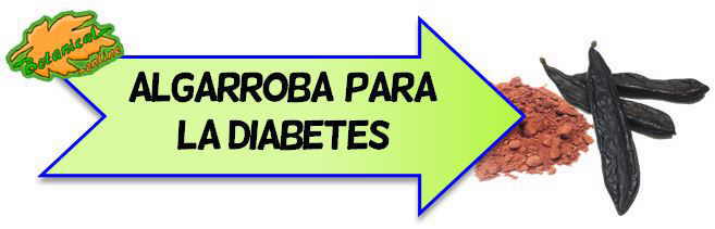 algarroba para la diabetes