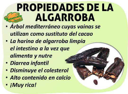 Propiedades medicinales de la harina de algarroba