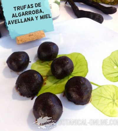 algarroba trufas