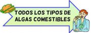 tipos de algas comestibles