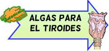 algas-tiroides