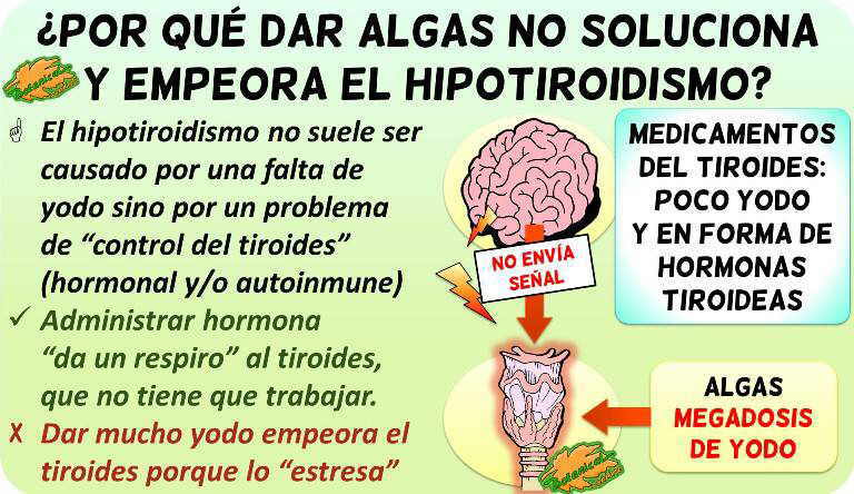 Medicamento para la tiroides hipotiroidismo