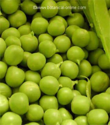 foto de guisantes verdes