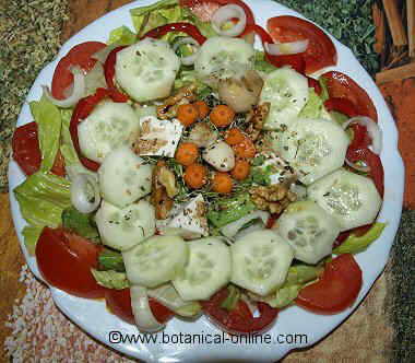 Ensalada de pepinos