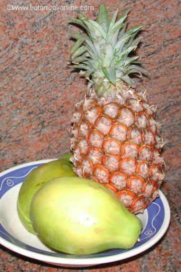 piña