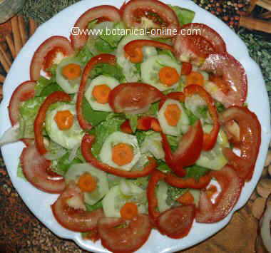 Ensalada de zanahorias