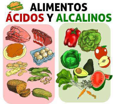 lista de alimentos acido base o alcalinos de la dieta segun ph