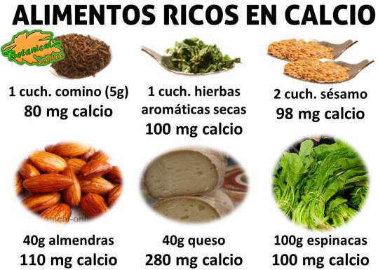 alimentos muy ricos en calcio con mucho calcio