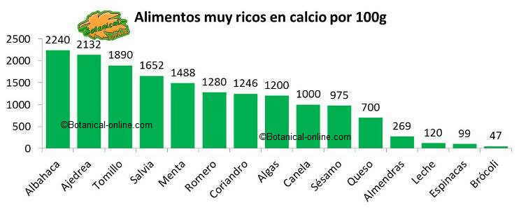 alimentos ricos en calcio