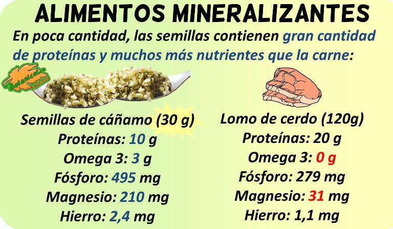 alimentos mineralizantes ricos en minerales 