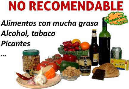 alimentos prohibidos no recomendables