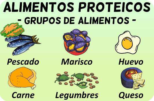 alimentos proteicos grupos clasificacion alimentos ricos en nutrientes