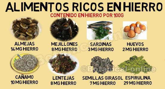 alimentos ricos en hierro dieta para la anemia