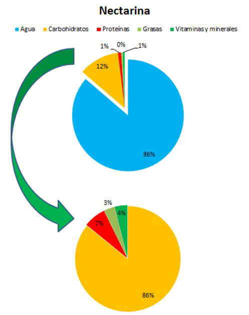 composicin nectarinas