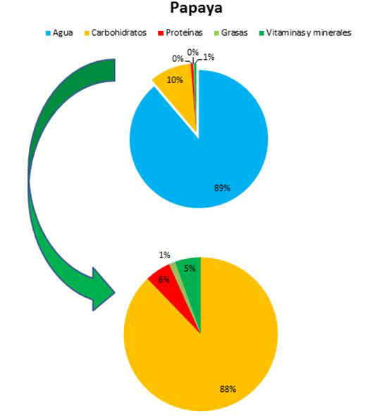 Composición de las papayas