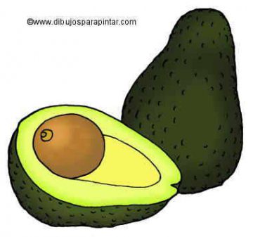 aguacate