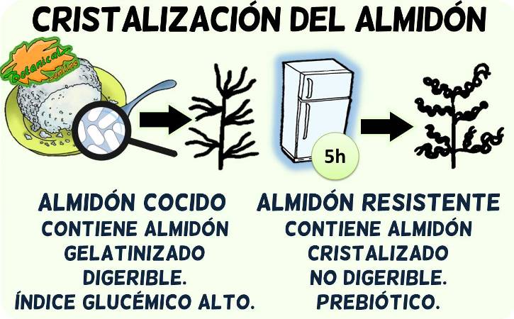 cristalizacion del almidon cocido a resistente