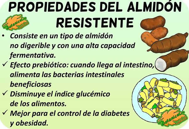 almidon resistente propiedades beneficiosas