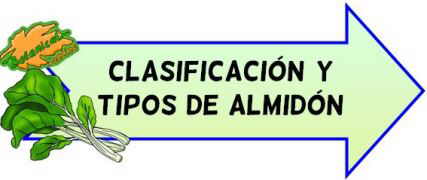 clasificacion y tipos de almidon