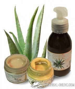 aloeplant aloe vera productos cosmetica natural