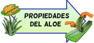 propiedades del aloe o sabila