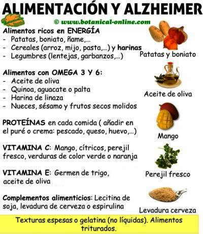 Alimentación para la dieta contra el alzheimer, alimentos y complementos alimenticios 