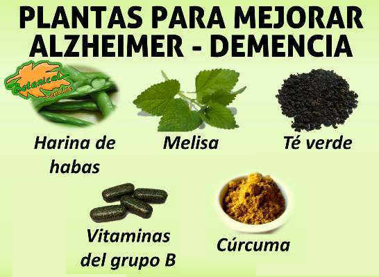 Plantas medicinales para mejorar el Alzheimer – Botanical-online