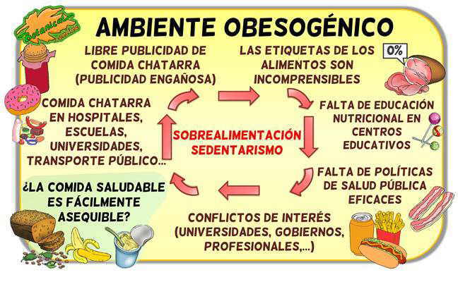 causas entorno ambiente obesogenico obesidad infantil epidemia comida chatarra basura salud publica educacion nutricional