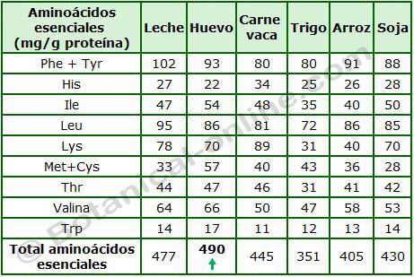 aminoacidos esenciales proteina completa alto valor biologico